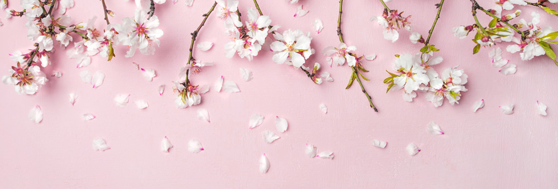 header_fruehling