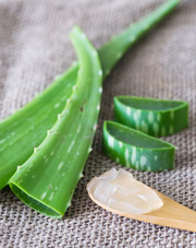 aloe_vera